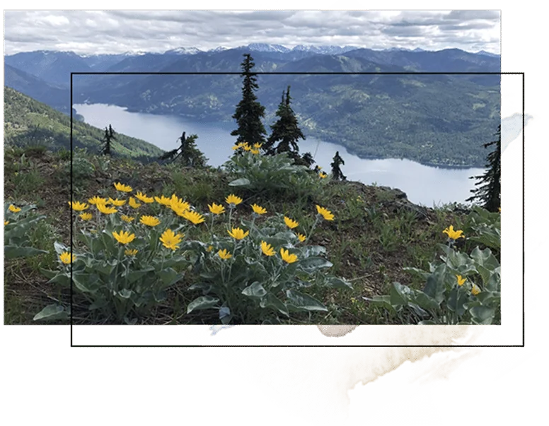 Cascade Mountains of Washington